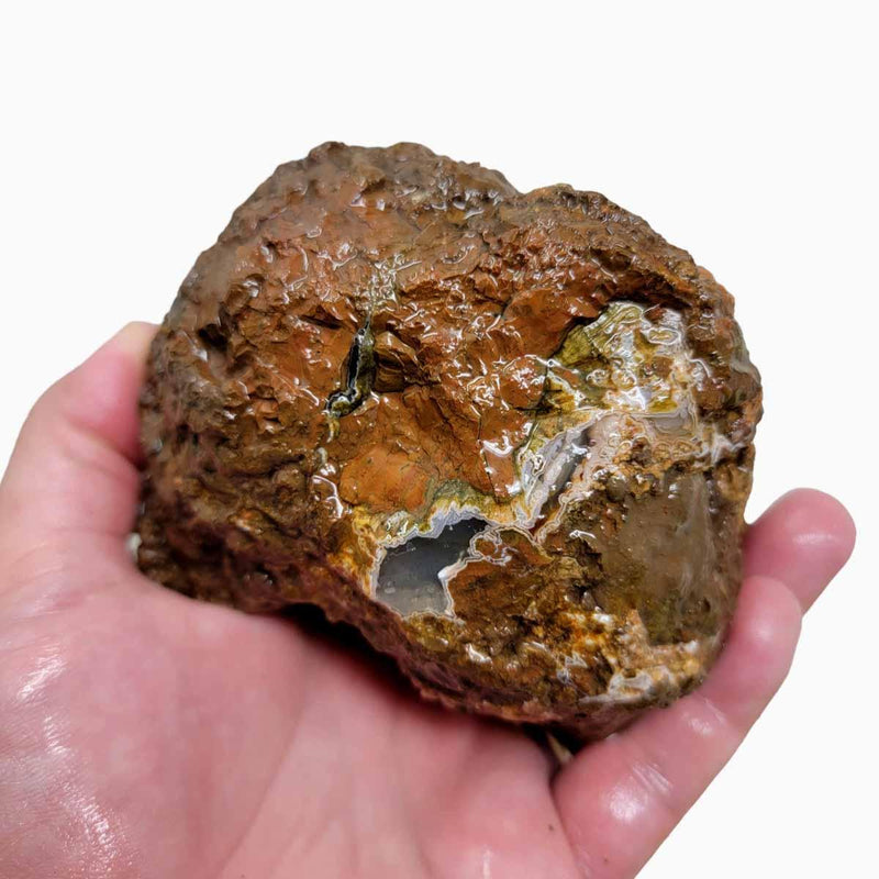 Old Stock Priday Plume Bed Thunderegg Rough Chunk! - Lapidary Central