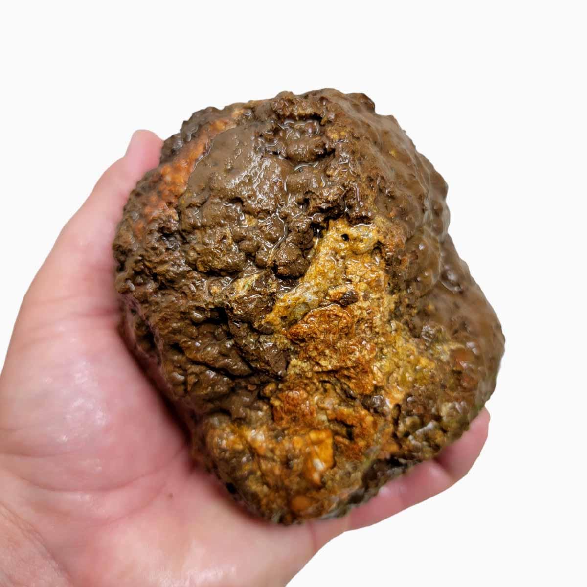 Old Stock Priday Plume Bed Thunderegg Rough Chunk! - Lapidary Central