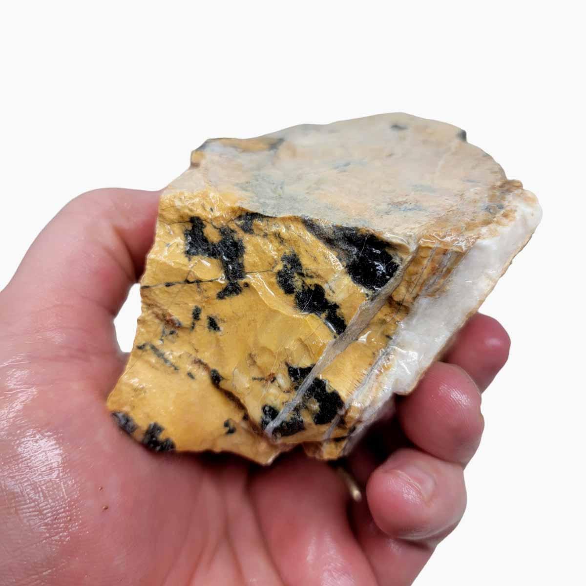 Roan Leopard Marble Rough Chunk! - LapidaryCentral