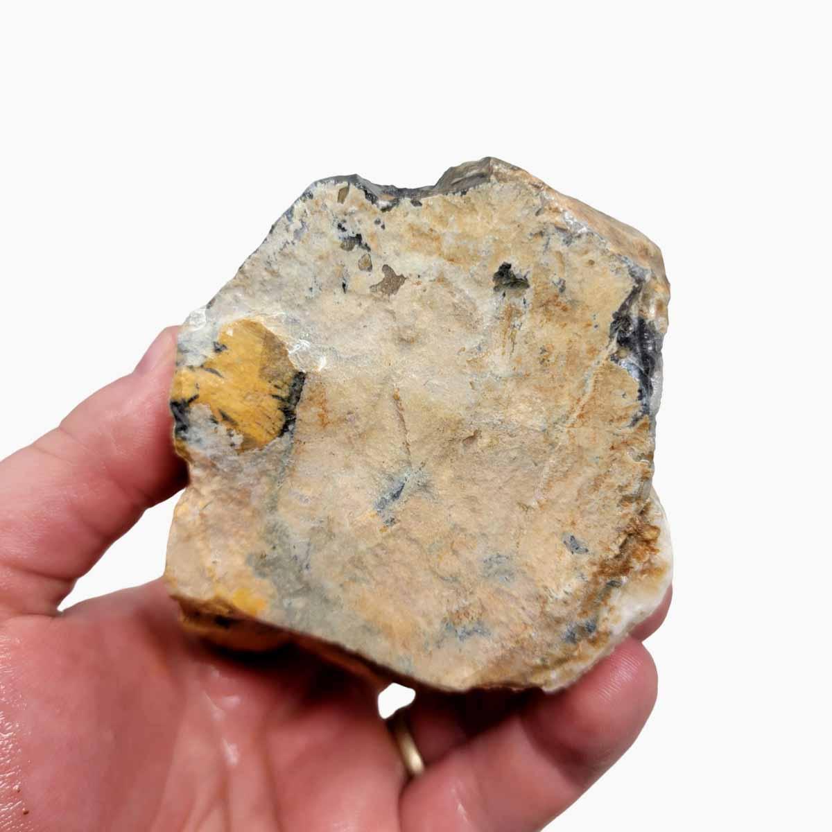 Roan Leopard Marble Rough Chunk! - LapidaryCentral