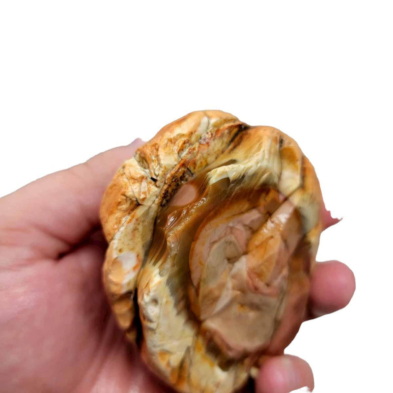 Royal Imperial Jasper Rough Chunk! - LapidaryCentral