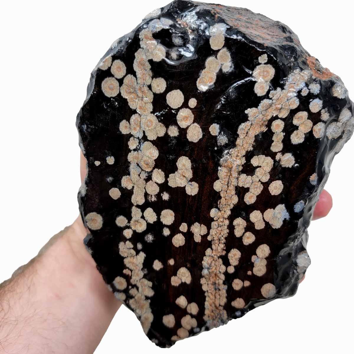 Snowflake Obsidian Rough Chunk! - LapidaryCentral