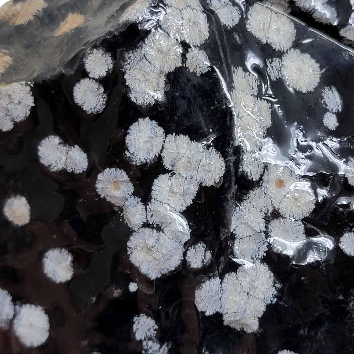 Snowflake Obsidian Rough Chunk! - LapidaryCentral