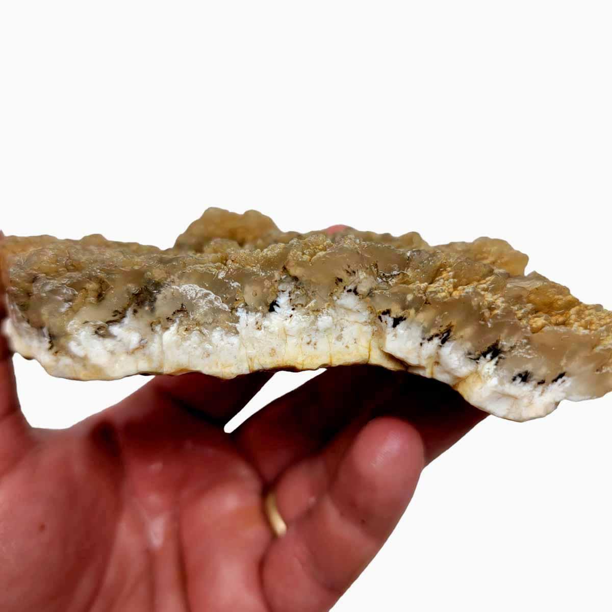 Stinking Water Plume Agate Rough Chunk! - LapidaryCentral