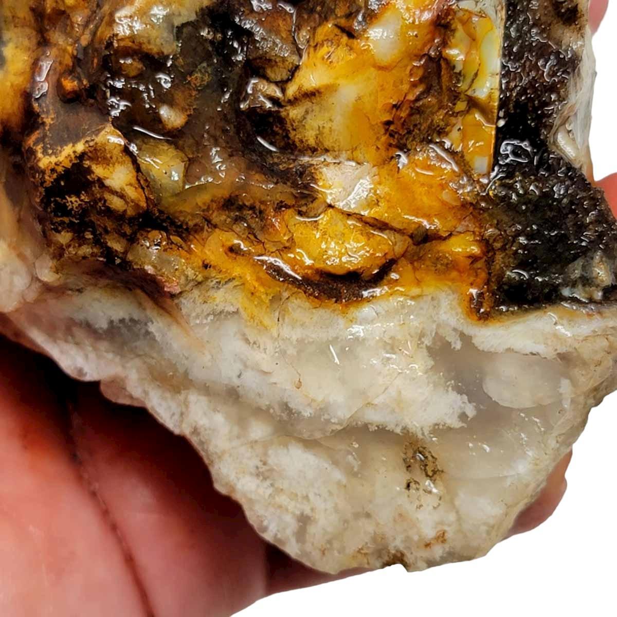 Stinking Water Plume Agate Rough Chunk! - LapidaryCentral