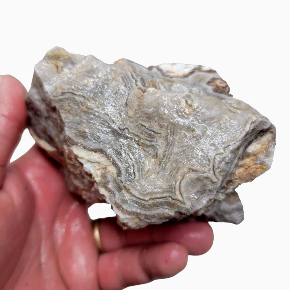 Summerville Crazy Lace Agate Lapidary Rough Chunk! - LapidaryCentral