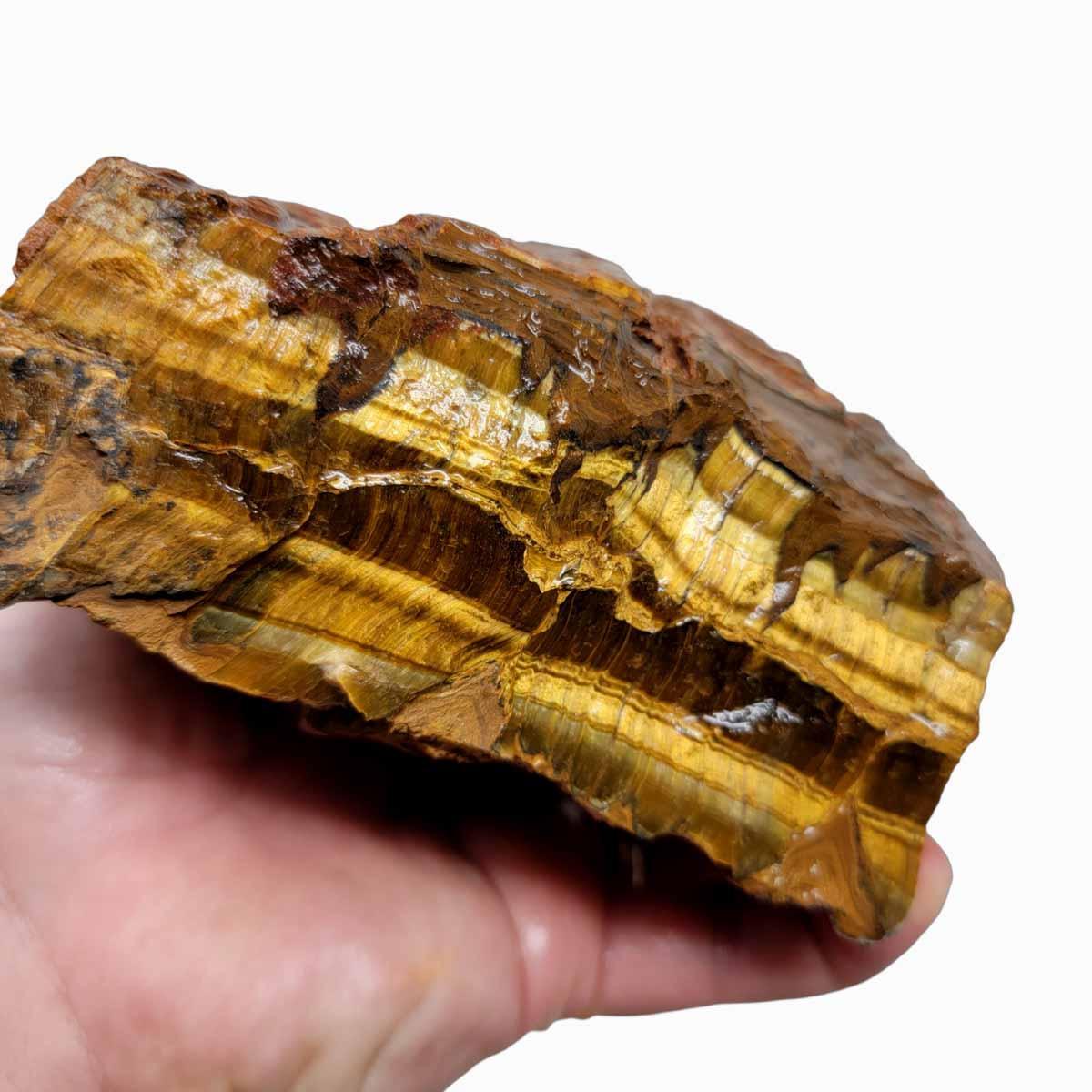 Golden Tigereye Rough Chunk! - LapidaryCentral