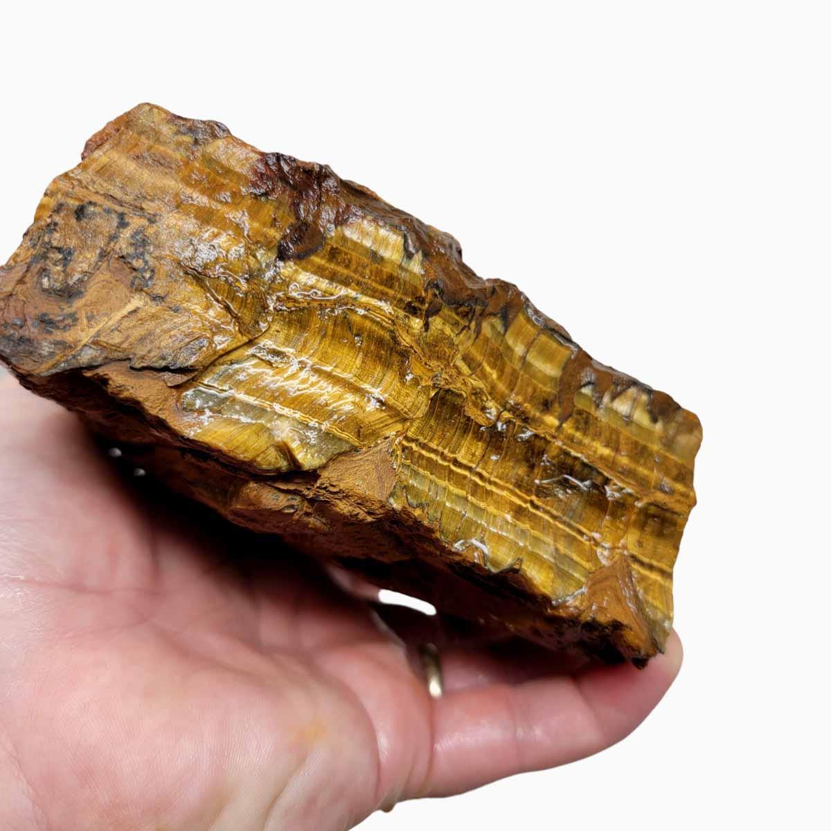 Golden Tigereye Rough Chunk! - LapidaryCentral