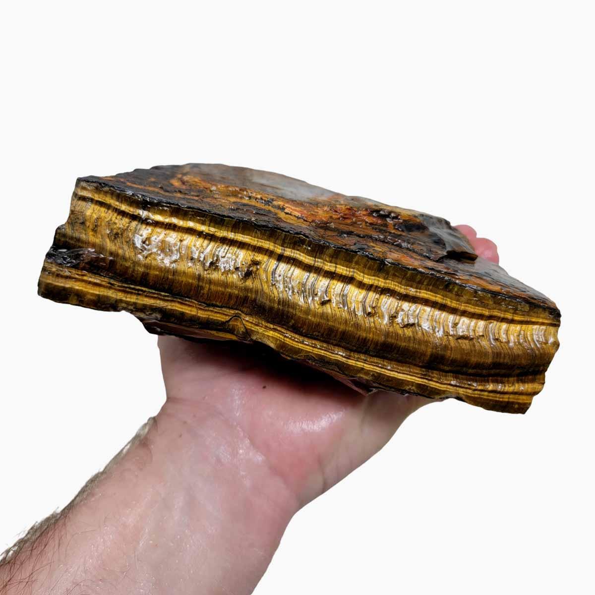 Golden Tigers eye Rough Chunk! - Lapidary Central