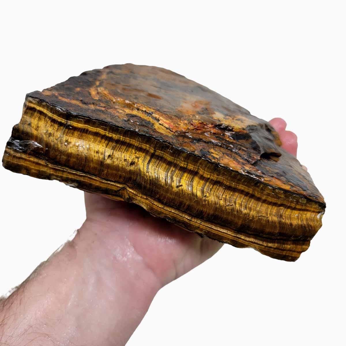 Golden Tigers eye Rough Chunk! - Lapidary Central