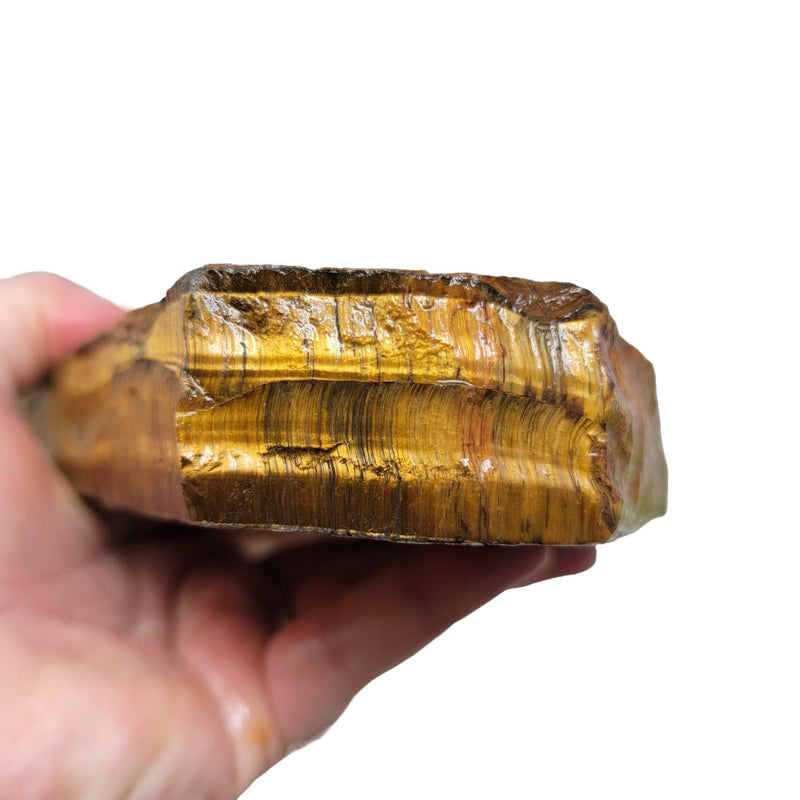 Golden Tigereye Rough Chunk! - LapidaryCentral