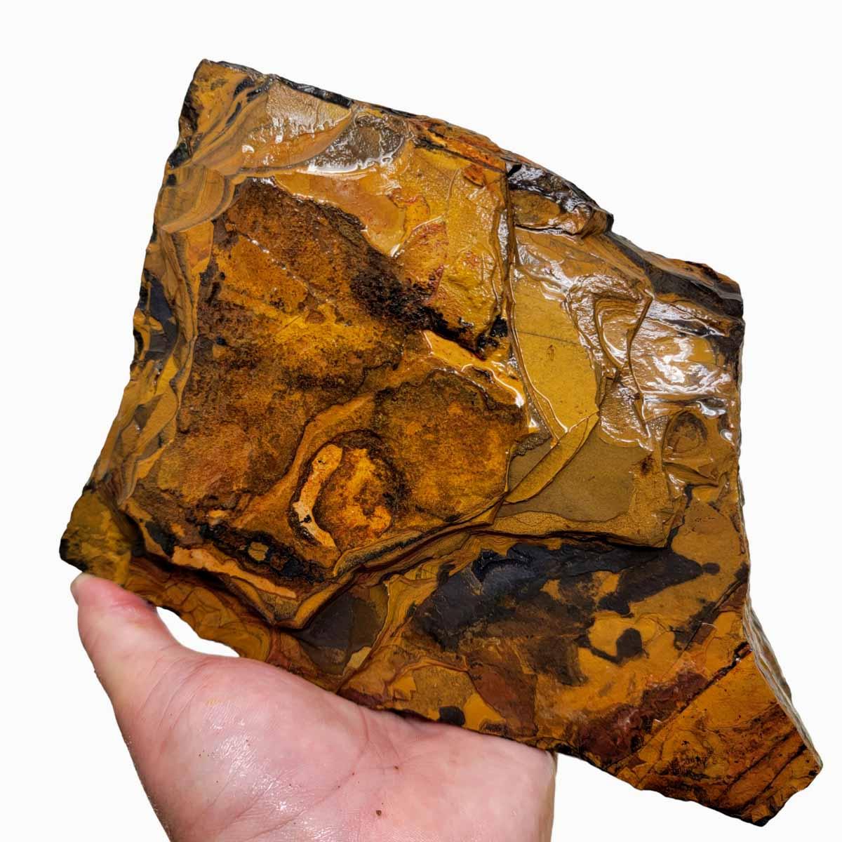 Golden Tigers eye Rough Chunk! - Lapidary Central