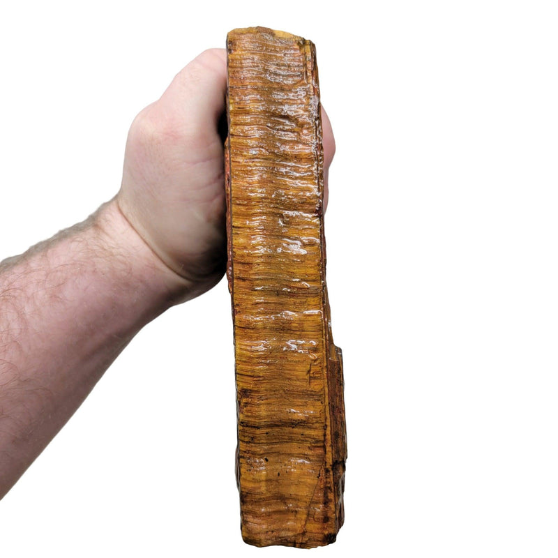 Golden Tigereye Rough Chunk! - LapidaryCentral