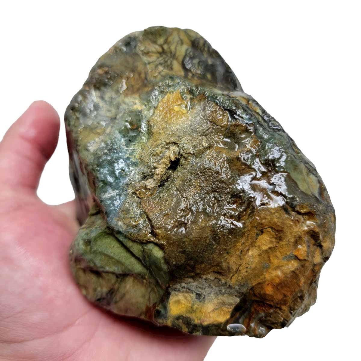 Possibly Vistaite Jasper Rough Chunk! - LapidaryCentral