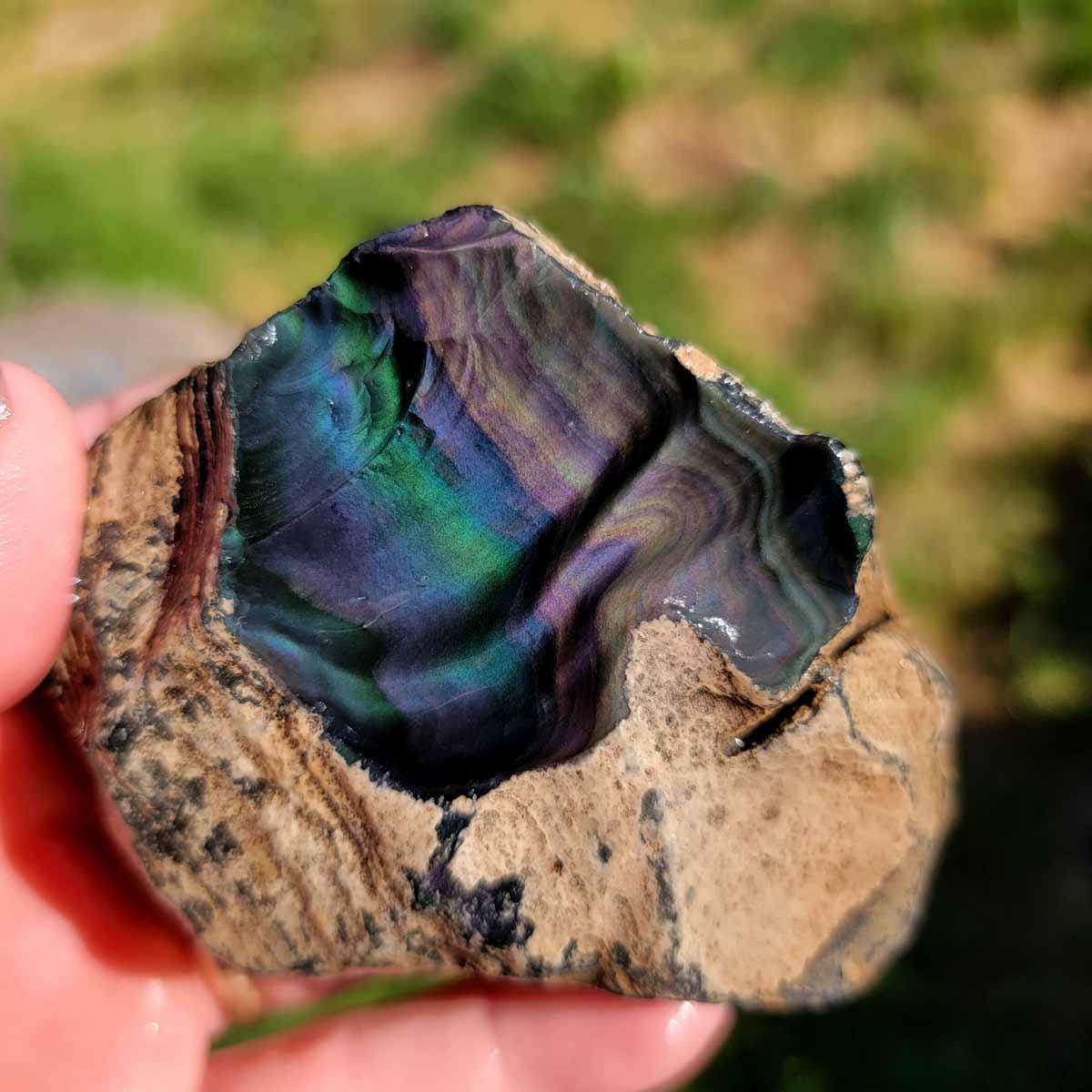 Highgrade Mexican Velvet Obsidian Rough Chunk! - Lapidary Central