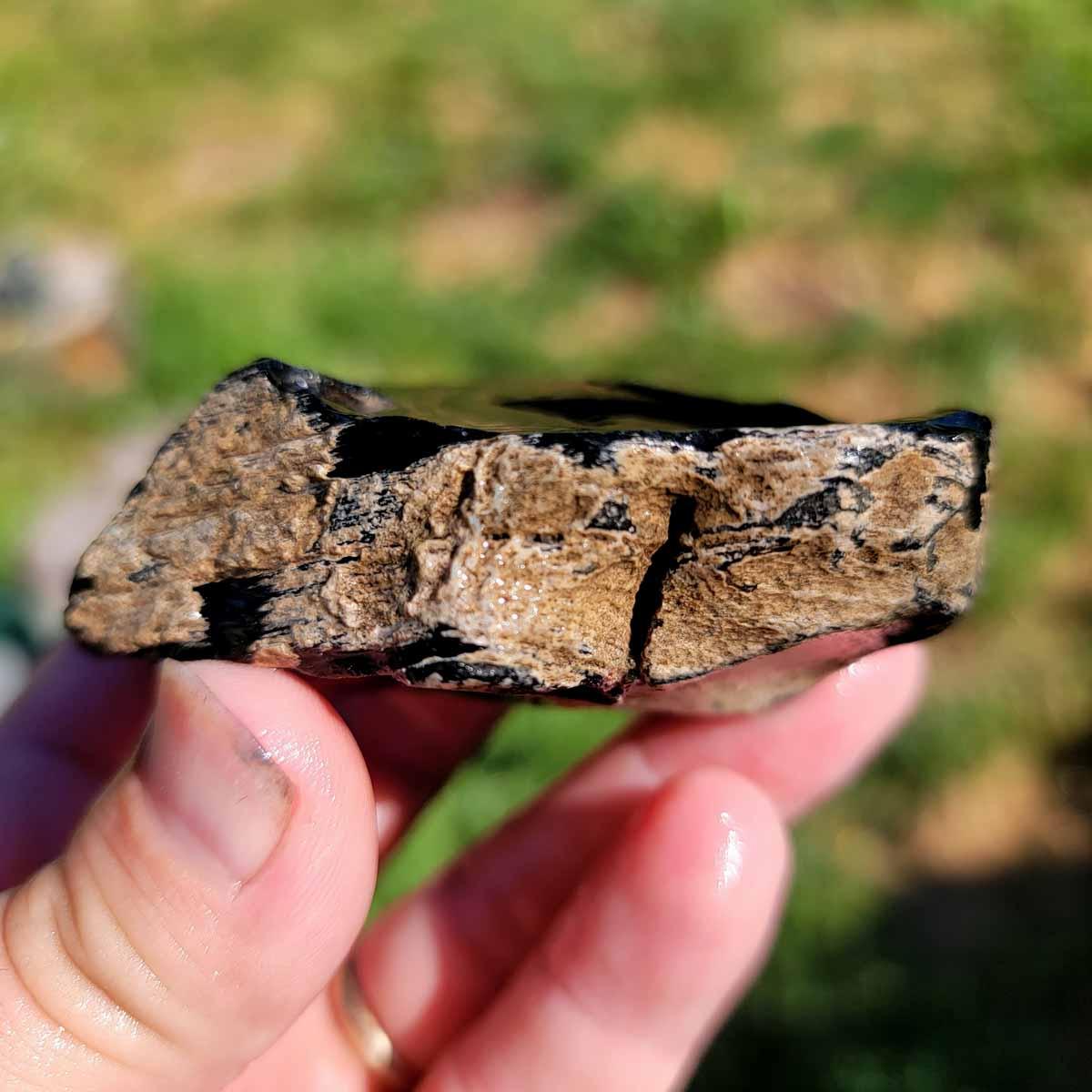 Highgrade Mexican Velvet Obsidian Rough Chunk! - Lapidary Central