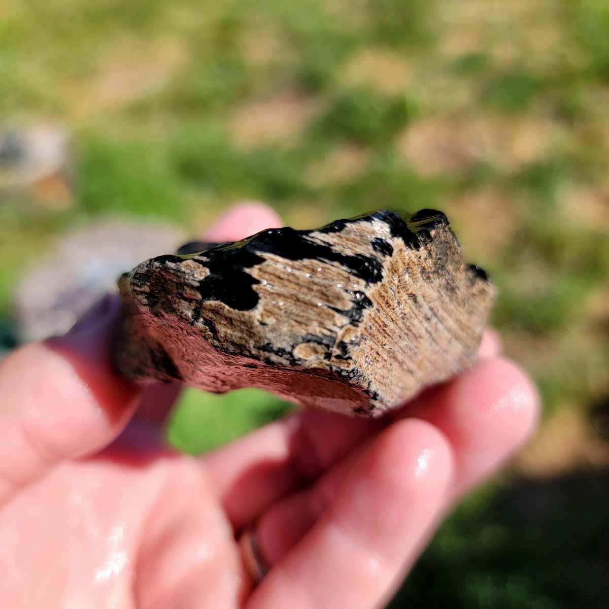 Highgrade Mexican Velvet Obsidian Rough Chunk! - Lapidary Central