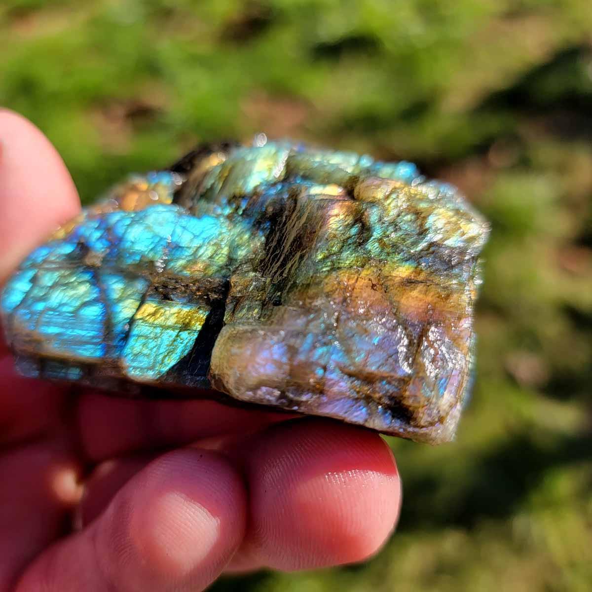 Cabbing Grade Labradorite Trimmer Rough Batch with Good Flash! - LapidaryCentral