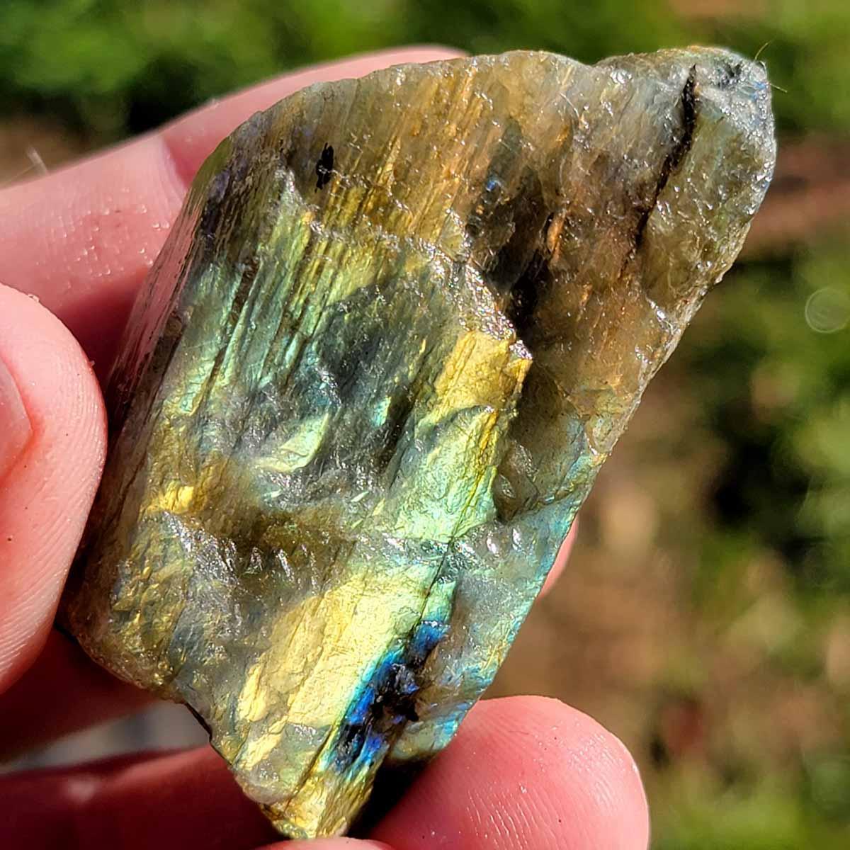 Cabbing Grade Labradorite Trimmer Rough Batch with Good Flash! - LapidaryCentral