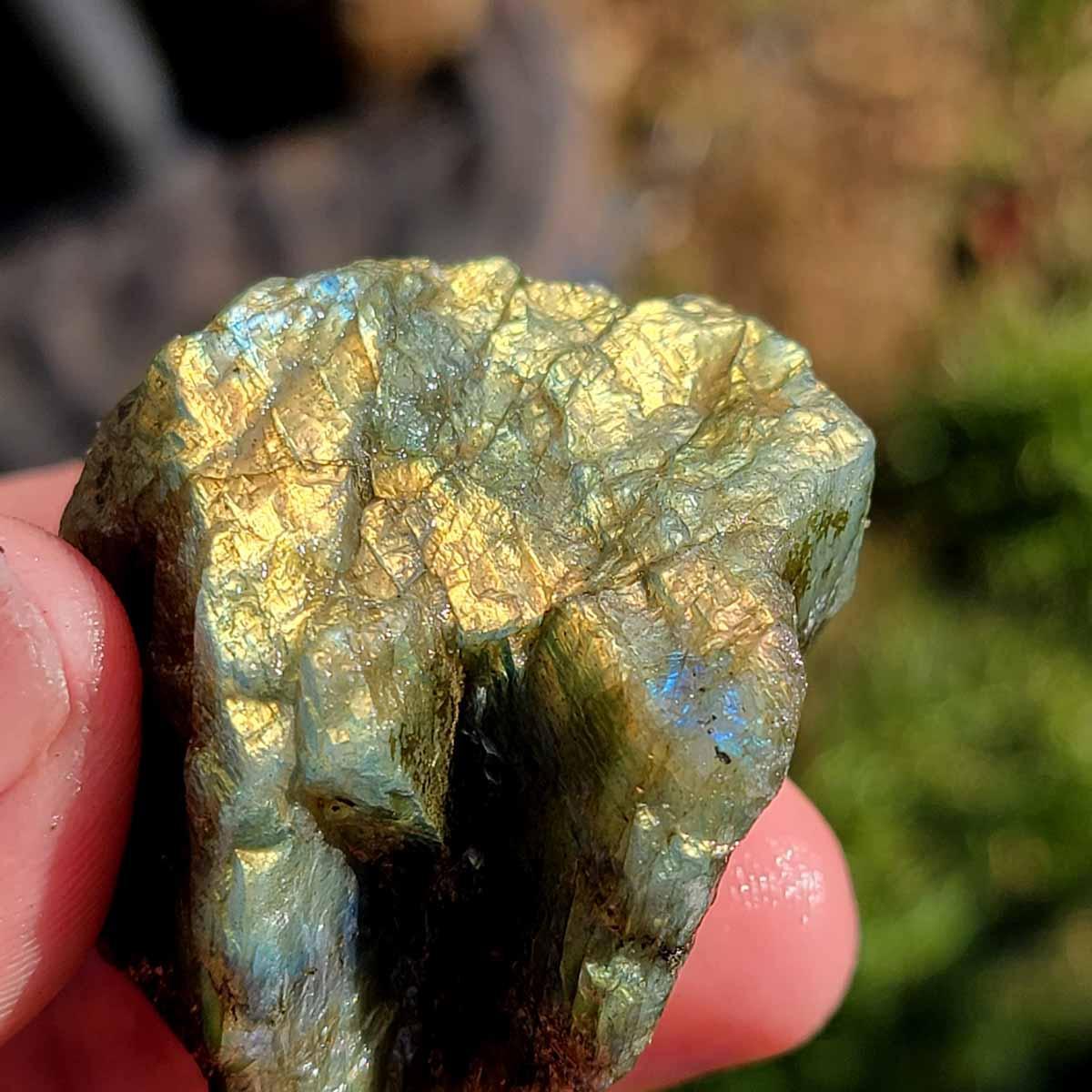 Cabbing Grade Labradorite Trimmer Rough Batch with Good Flash! - LapidaryCentral