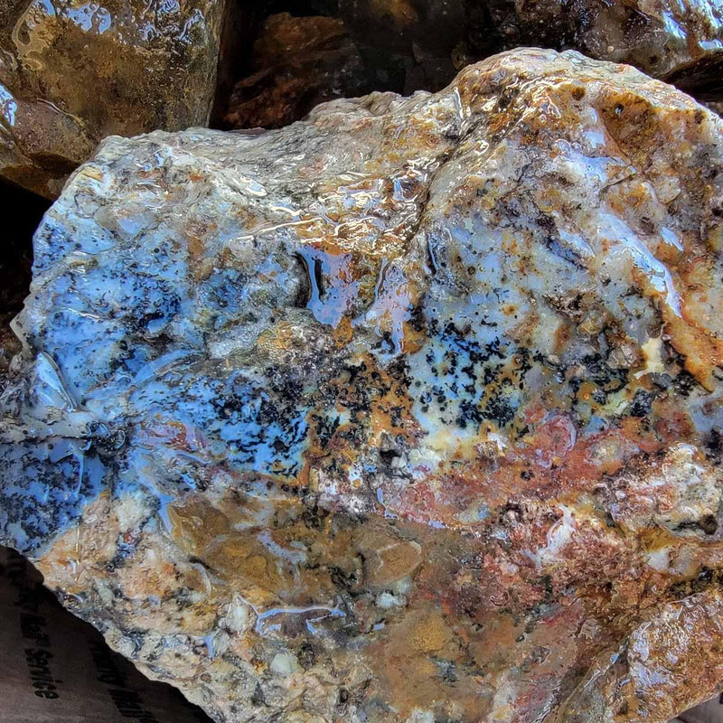 Ochoco Sunset Jasper Agate Rough Flatrate Box! - LapidaryCentral