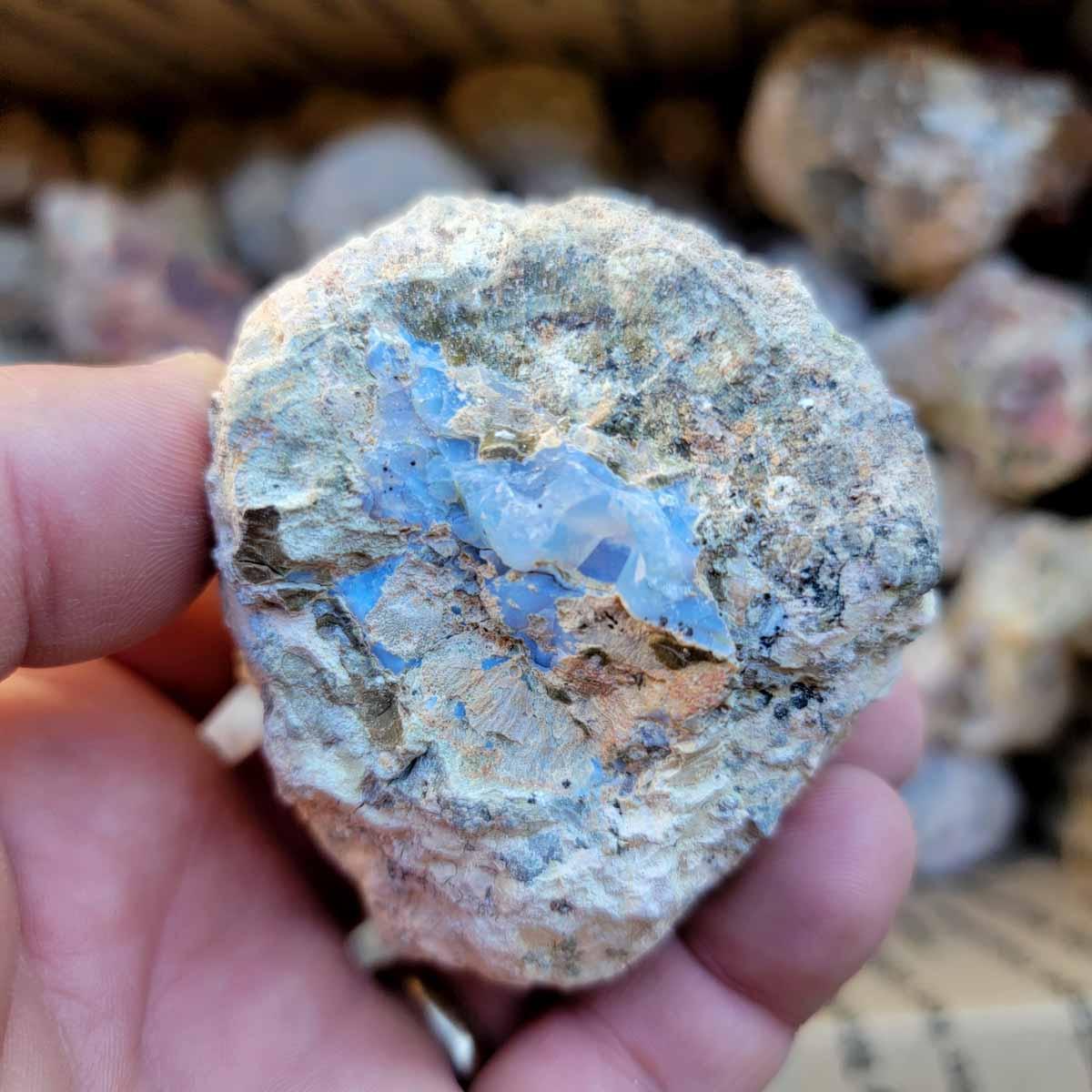 Priday Opal Thunderegg Rough Flatrate! - Lapidary Central