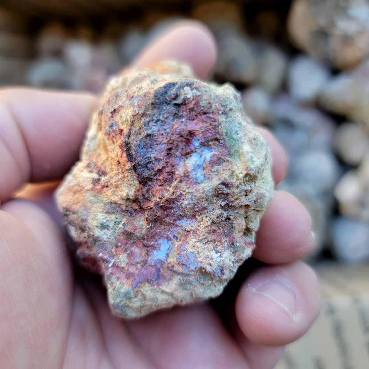 Priday Opal Thunderegg Rough Flatrate! - Lapidary Central