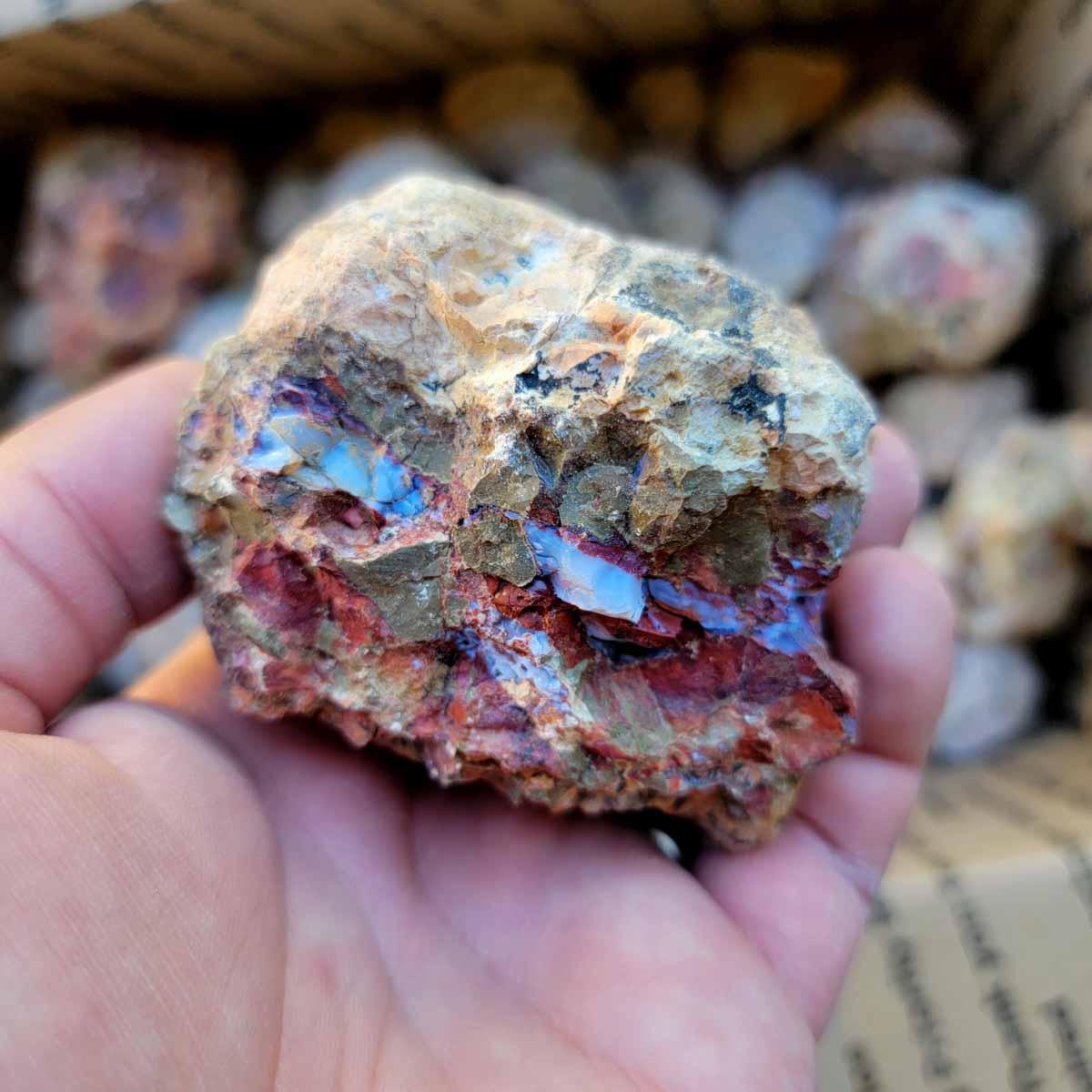 Priday Opal Thunderegg Rough Flatrate! - Lapidary Central