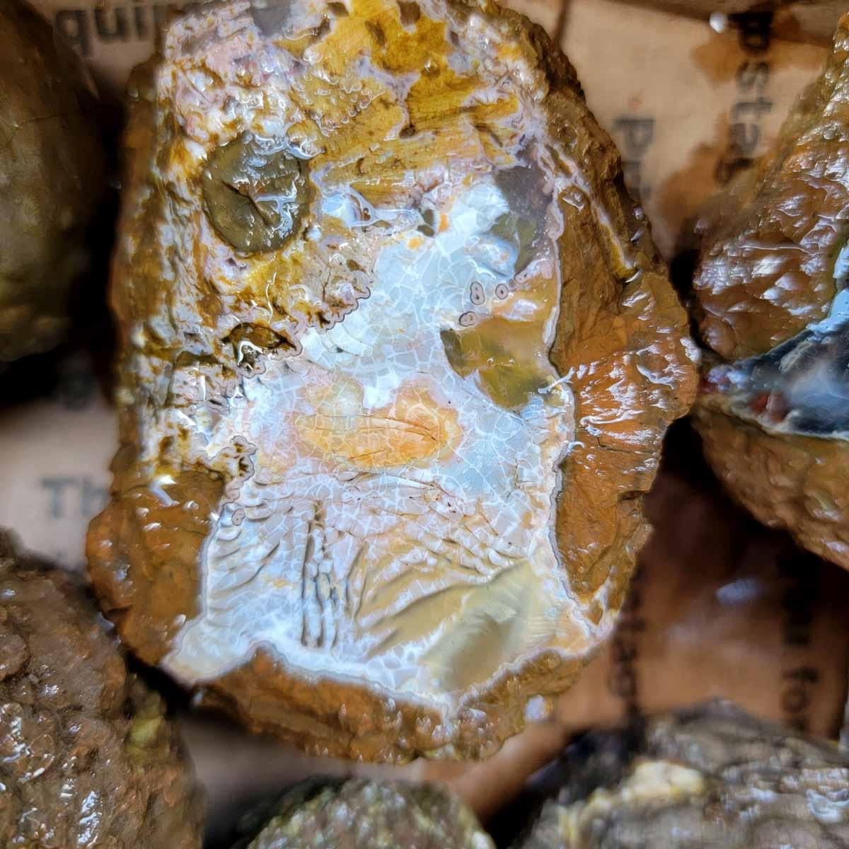 Old Stock Oregon Thunderegg Cutting Rough Flatrate! - Lapidary Central