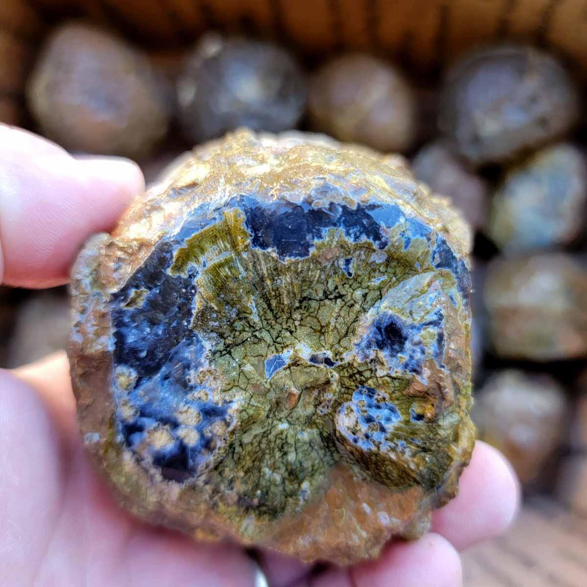 Oregon Priday Thunderegg Cutting Rough Flatrate! - Lapidary Central