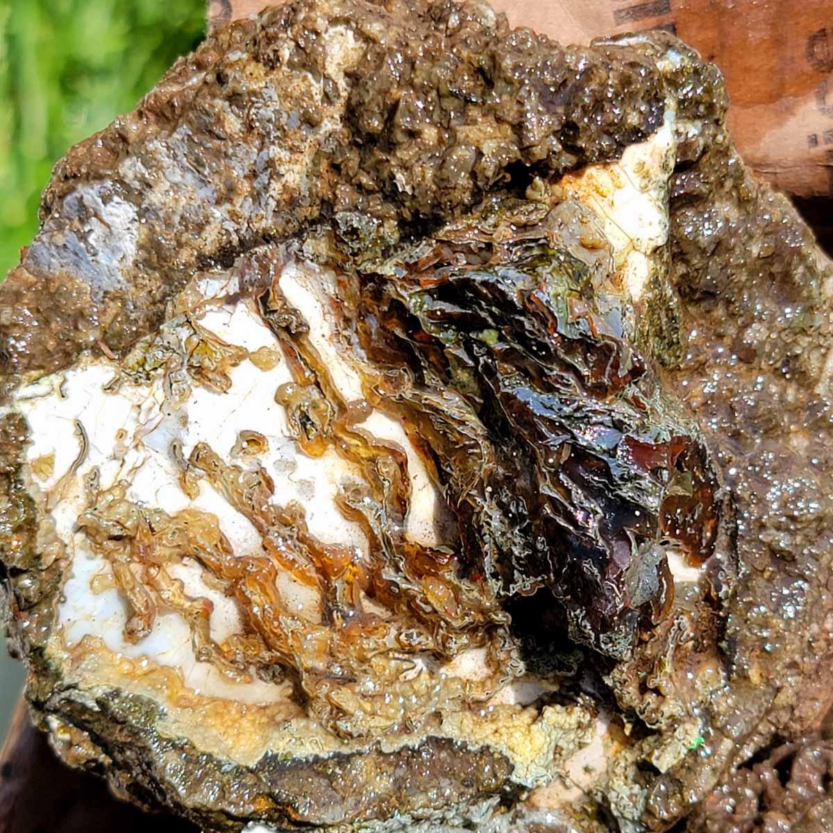 Old Stock Oregon Thunderegg Cutting Rough Flatrate! - Lapidary Central