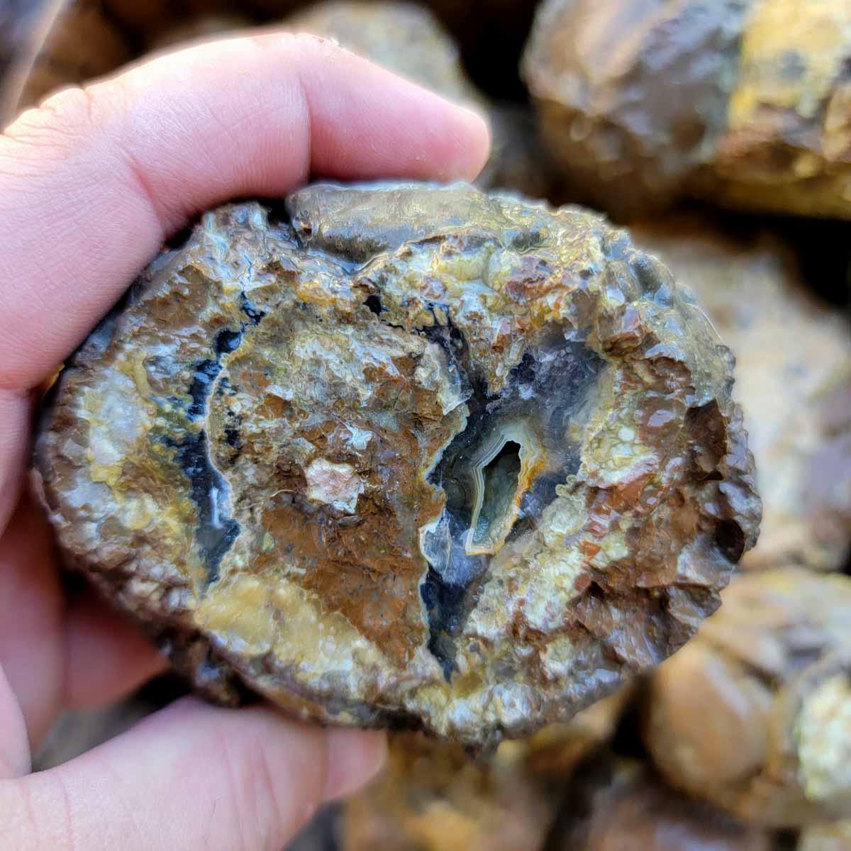 Oregon Priday Thunderegg Cutting Rough Flatrate! - Lapidary Central