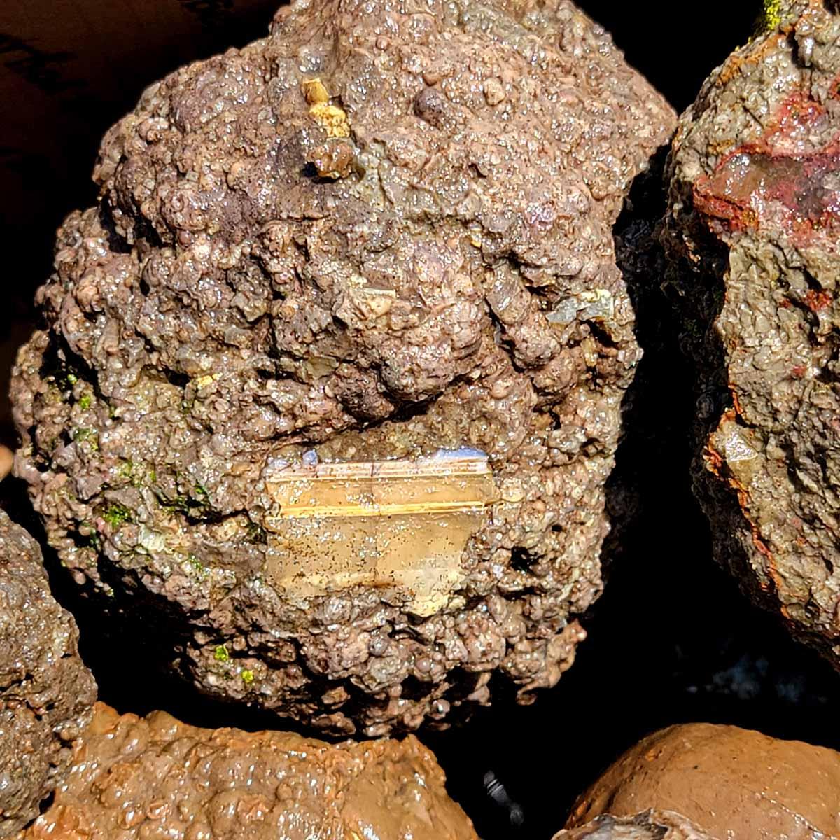 Old Stock Oregon Thunderegg Cutting Rough Flatrate! - Lapidary Central