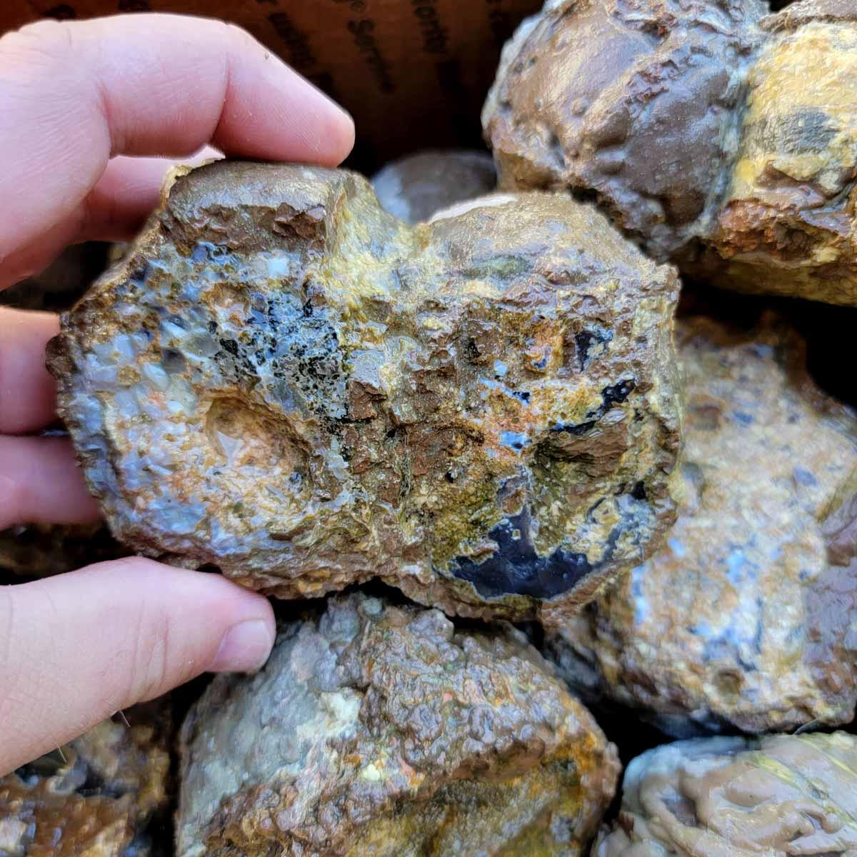 Oregon Priday Thunderegg Cutting Rough Flatrate! - Lapidary Central