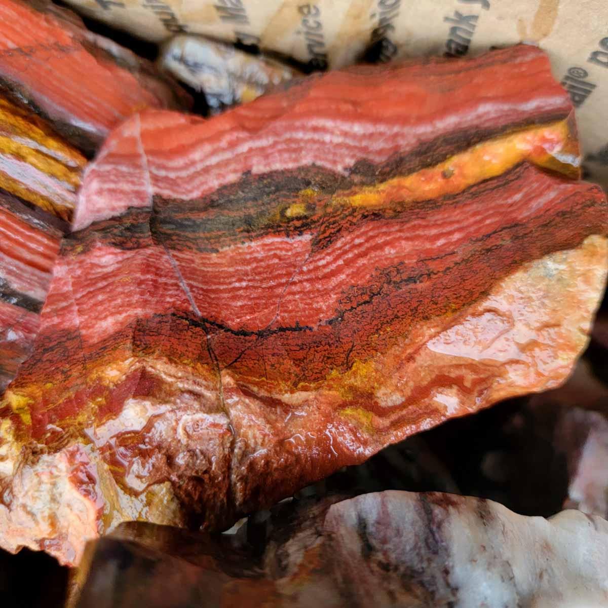 Australian Outback Jasper Cutting Rough Flatrate! - LapidaryCentral