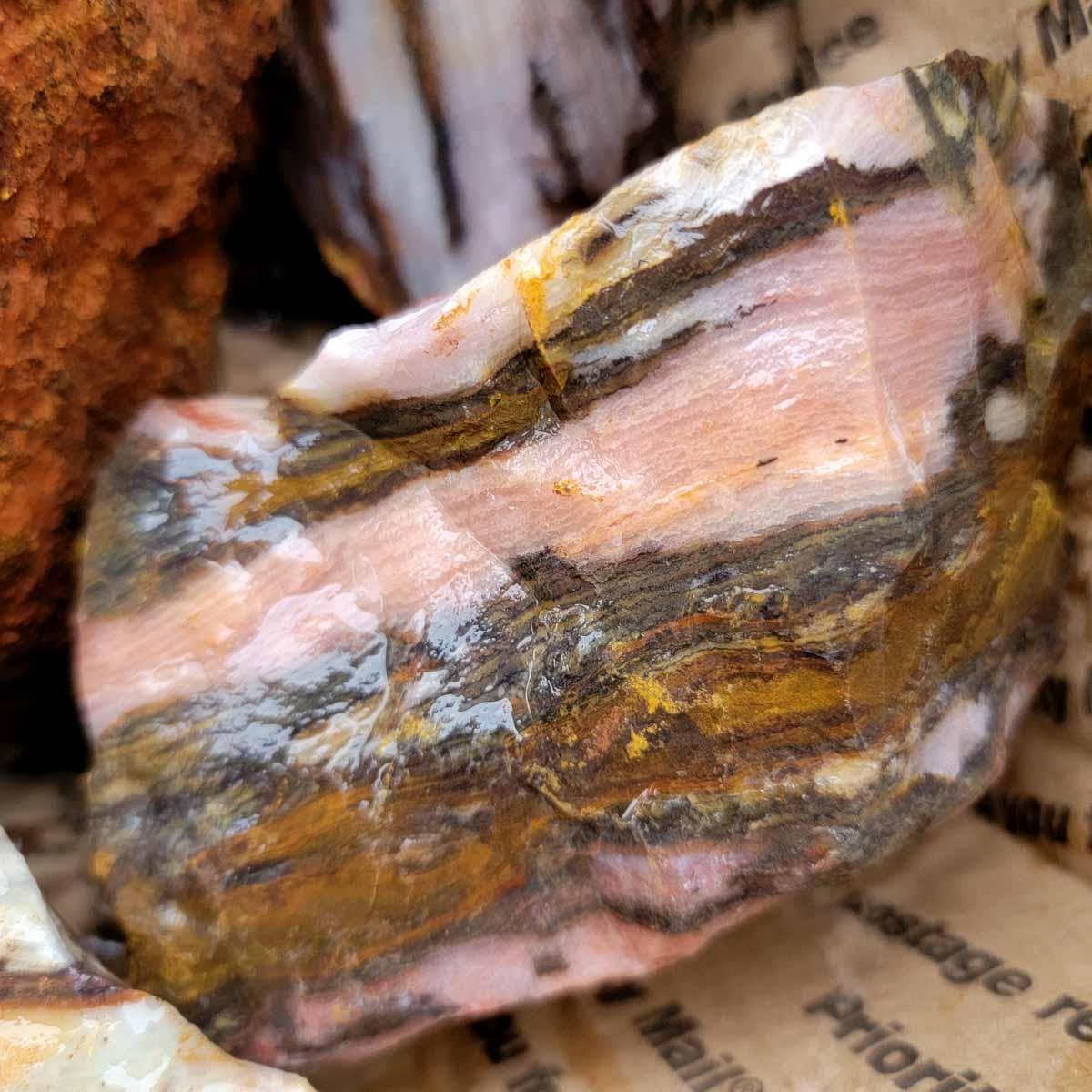 Australian Outback Jasper Cutting Rough Flatrate! - LapidaryCentral