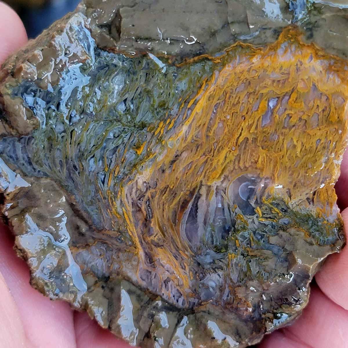 Priday Richardson Moss Bed Thunderegg Cutting Rough Flatrate! - LapidaryCentral
