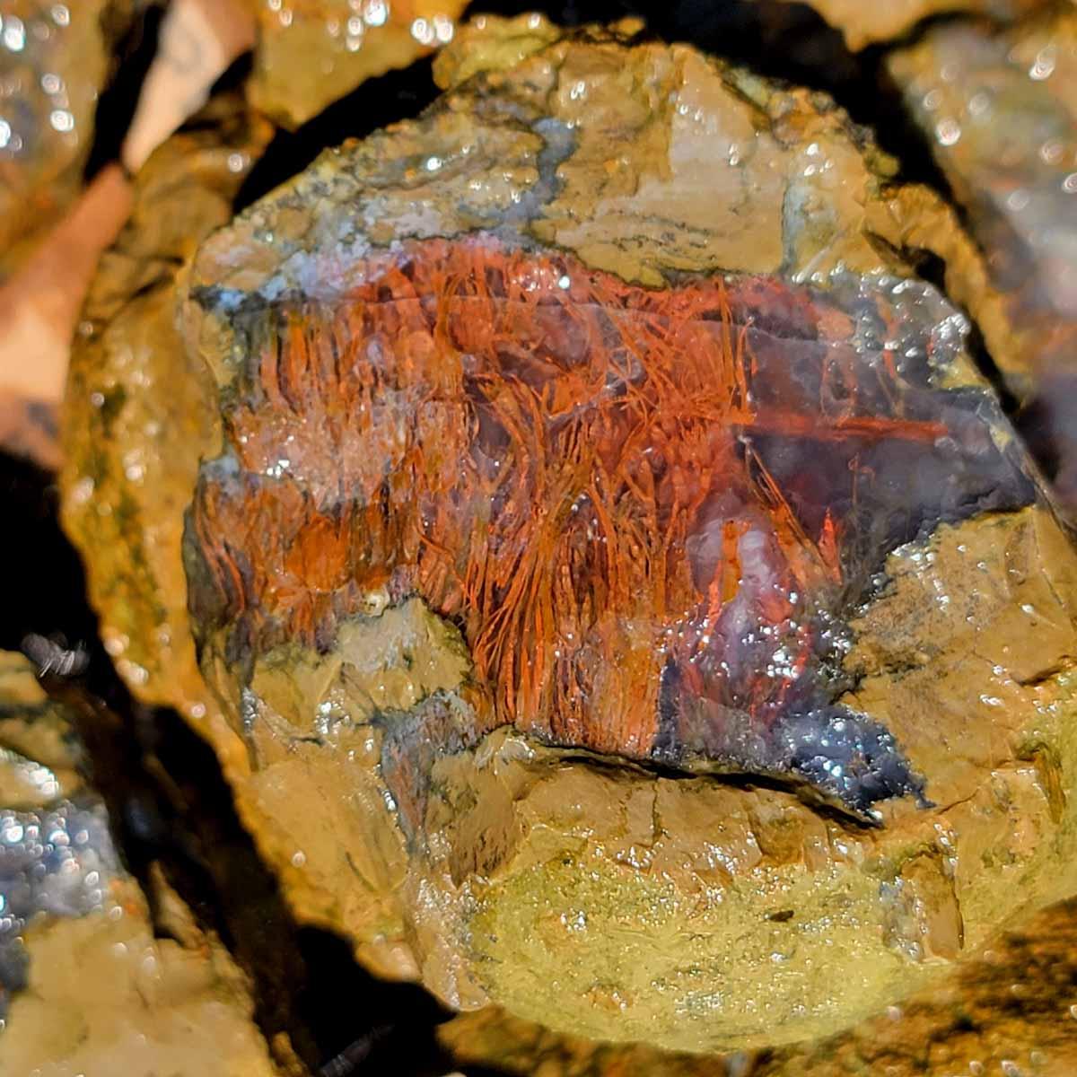 Priday Richardson Moss Bed Thunderegg Cutting Rough Flatrate! - Lapidary Central