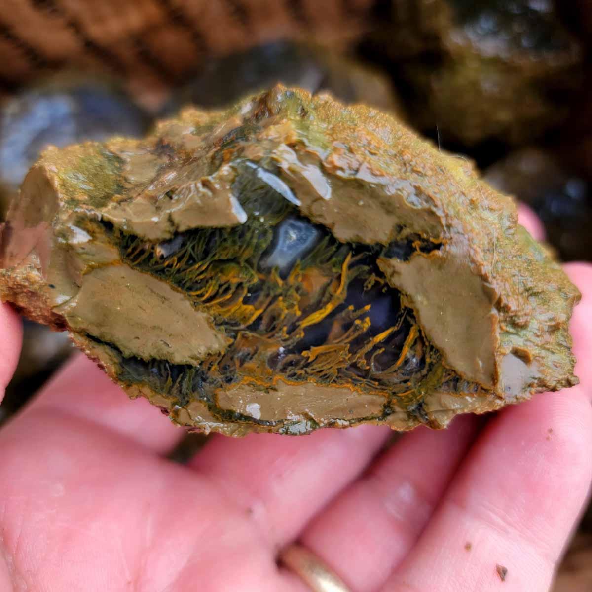 Priday Richardson Moss Bed Thunderegg Cutting Rough Flatrate! - Lapidary Central