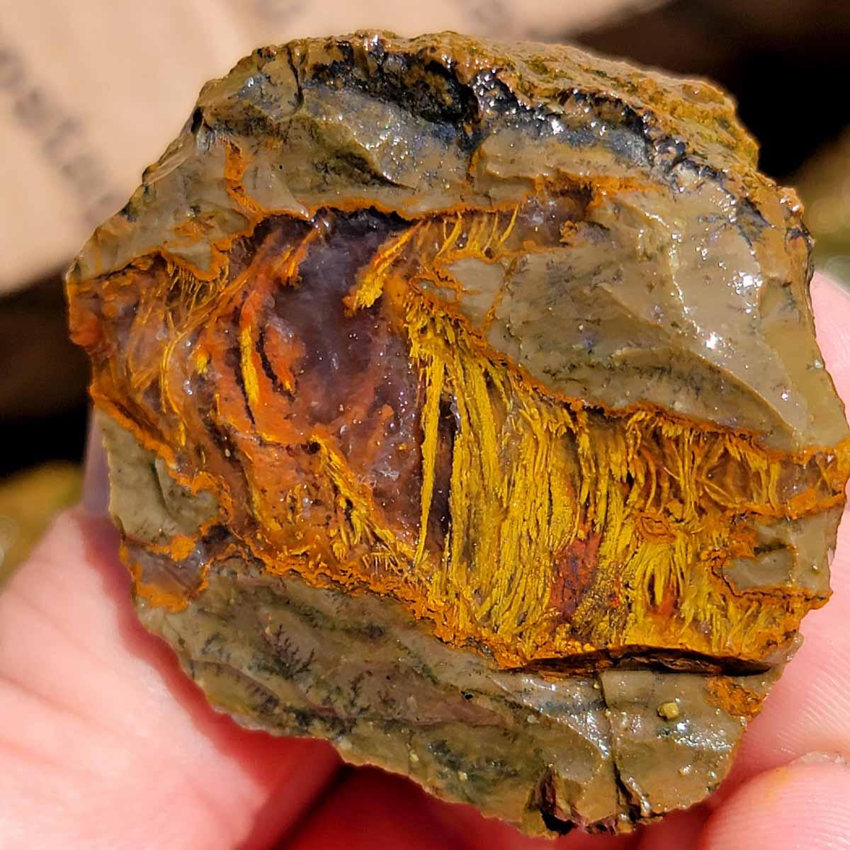 Priday Richardson Moss Bed Thunderegg Cutting Rough Flatrate! - Lapidary Central