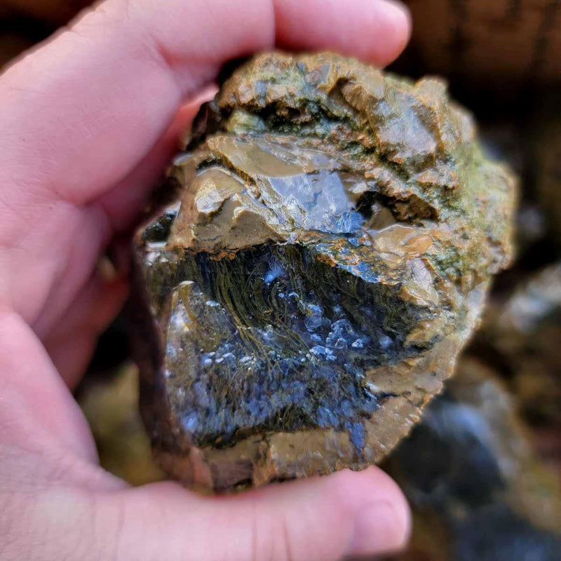 Priday Richardson Moss Bed Thunderegg Cutting Rough Flatrate! - Lapidary Central