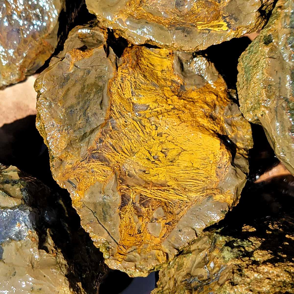 Priday Richardson Moss Bed Thunderegg Cutting Rough Flatrate! - Lapidary Central