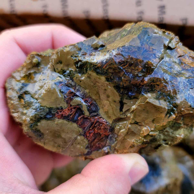 Priday Richardson Moss Bed Thunderegg Cutting Rough Flatrate! - Lapidary Central