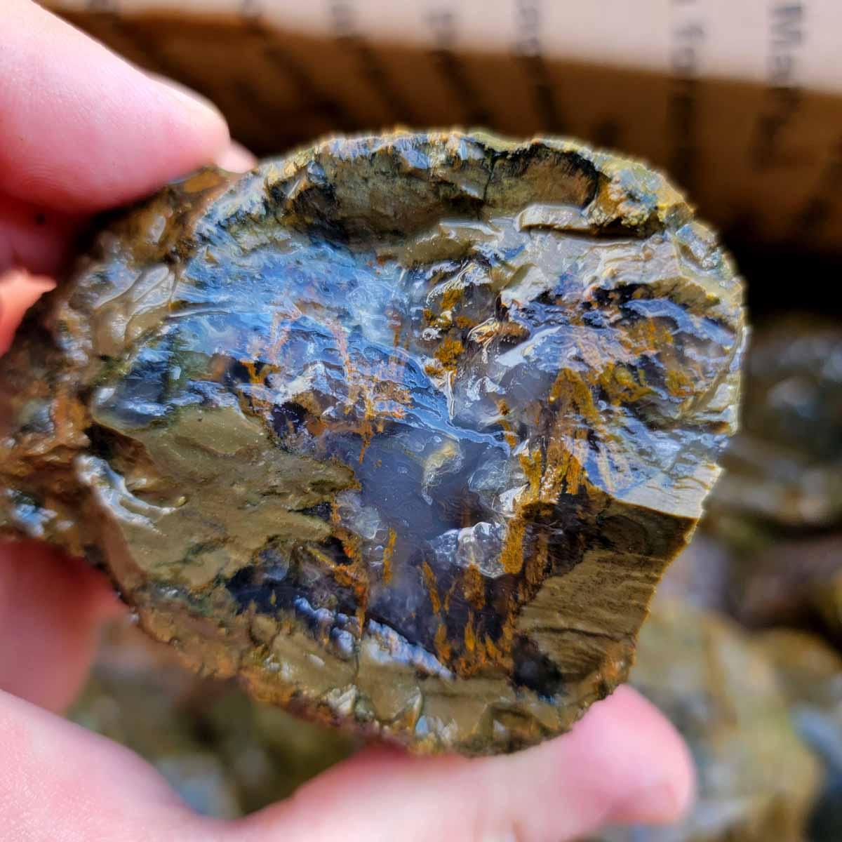 Priday Richardson Moss Bed Thunderegg Cutting Rough Flatrate! - Lapidary Central