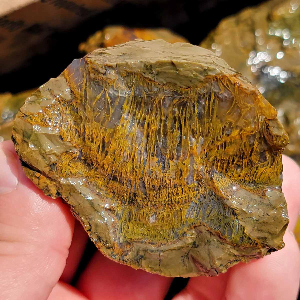 Priday Richardson Moss Bed Thunderegg Cutting Rough Flatrate! - Lapidary Central