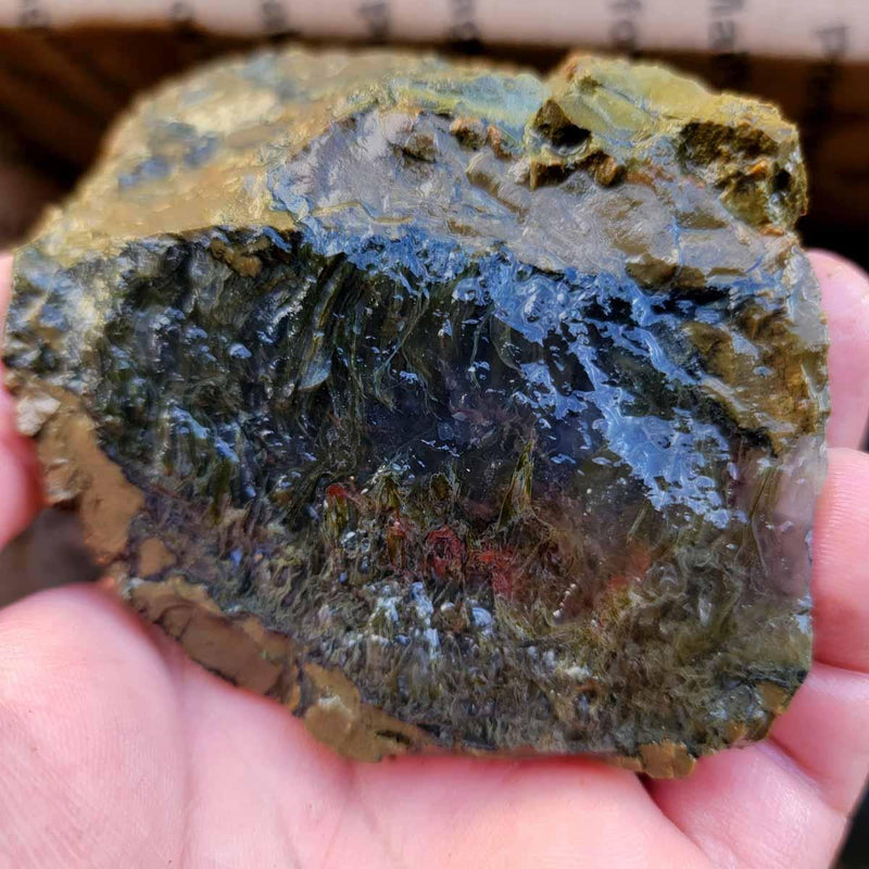 Priday Richardson Moss Bed Thunderegg Cutting Rough Flatrate! - Lapidary Central
