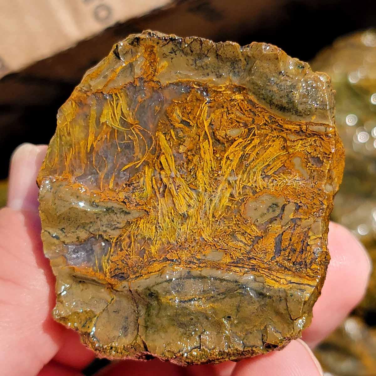 Priday Richardson Moss Bed Thunderegg Cutting Rough Flatrate! - Lapidary Central