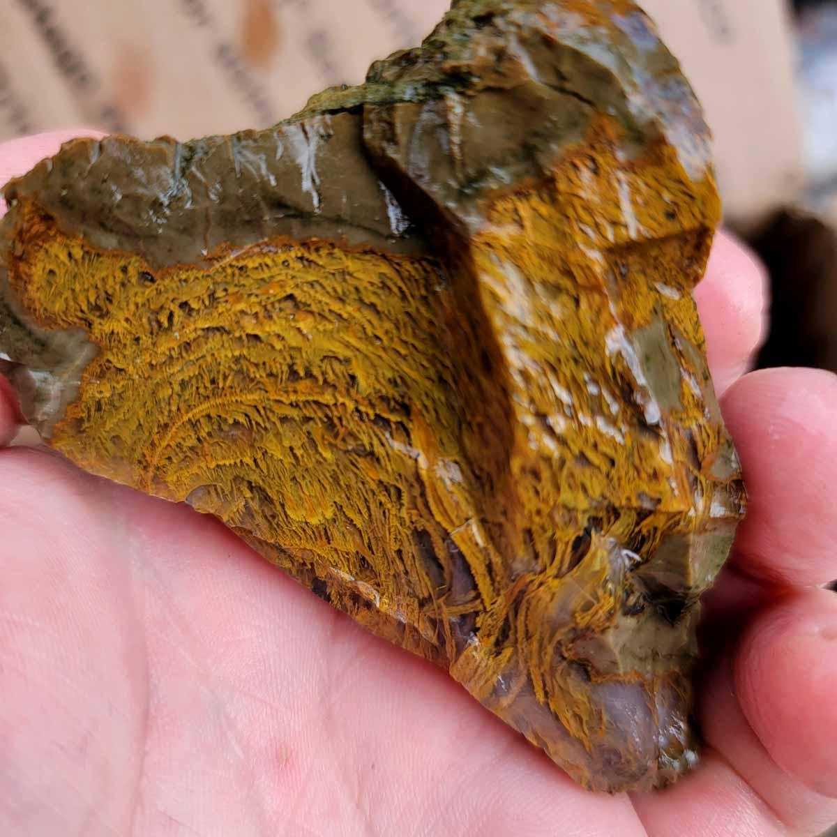 Priday Richardson Moss Bed Thunderegg Cutting Rough Flatrate! - Lapidary Central