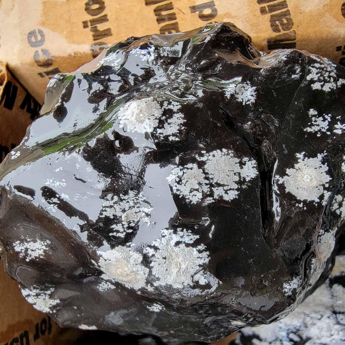 Snowflake Obsidian Rough Flatrate! - LapidaryCentral