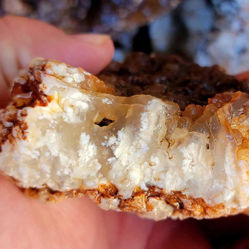 Old Stock Stinking Water Plume Agate Cutting Rough Flatrate! - LapidaryCentral